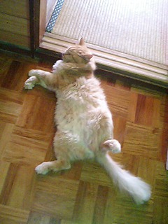 �����ɂႠ�`