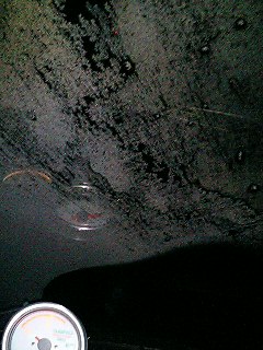 �����Ă那�`(>_<)!