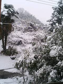 �Ⴁ�`(^-^)�m~~