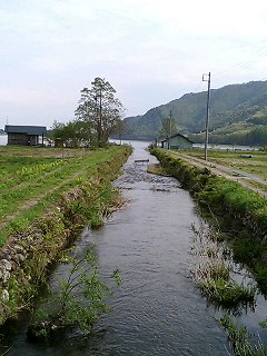 �̂ǂ����`