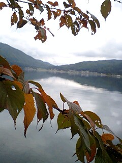 �؍�Γ������I