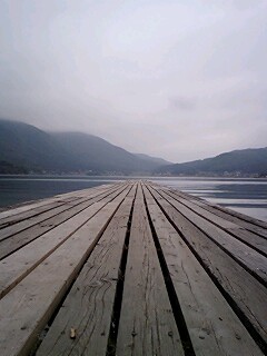 �V���F�u1�v