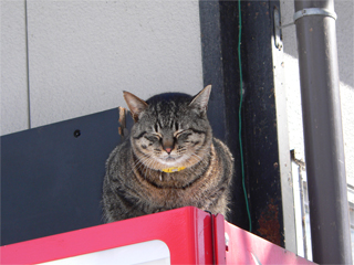 ���o�}������