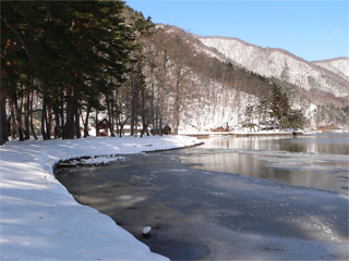 ������Ɠ����Ă���H�I