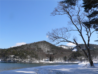 ����ɐ�ւ́`