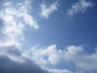 �V�C�͗ǂ��悤�ł��`