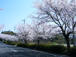 ������Ƃ͉񕜁H���V�C