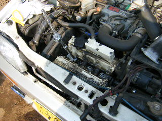 �����e�i���X�`