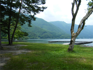 �s���Ă��܂����I���؍��